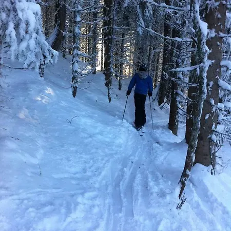 Les Fourges * Saint-Gervais-les-Bains